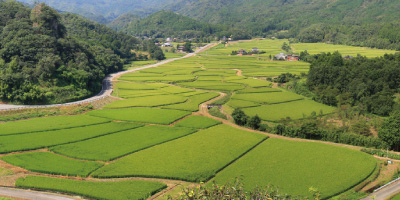 田染荘(世界農業遺産代表的景勝地）　写真